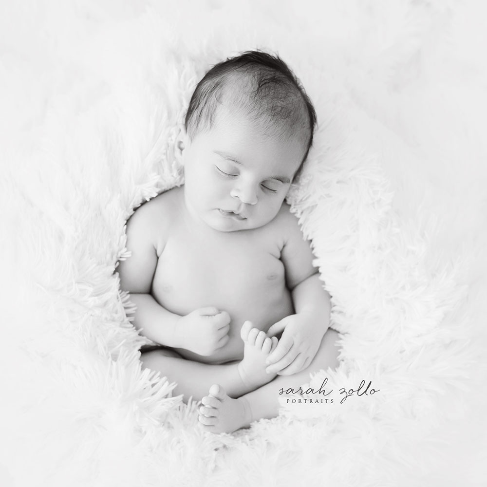 newborn photography family photographers
