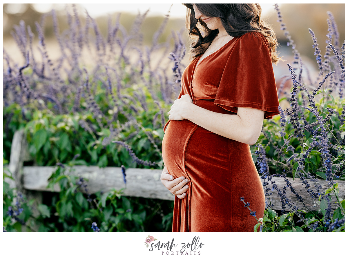 fall family photography sessions at the farmers daughter ri maternity close up belly lavender field